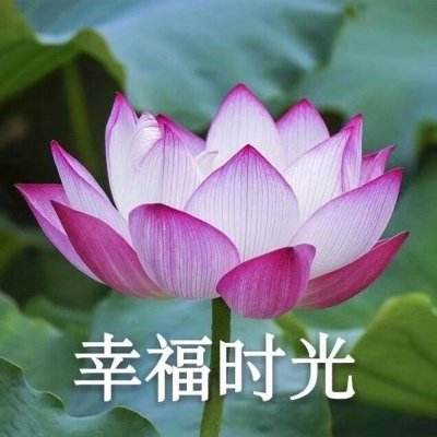 中国农业国际合作促进会一行到访...